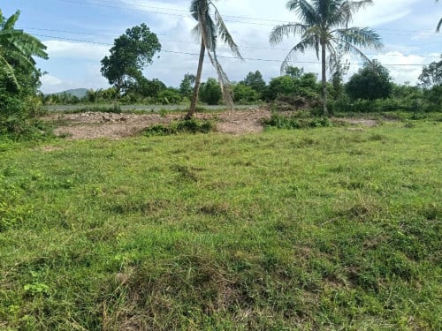 ដីលក់បន្ទាន់