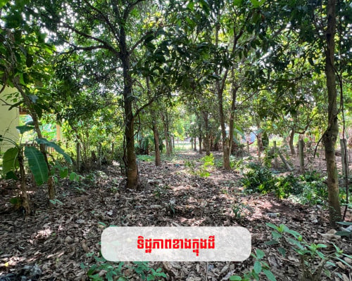 ដីលក់ ​កោះដាច់​​ 9.79m x 85m ម្ចាស់ផ្ទាល់ ប្លង់រឹង(បង្កាន់ដៃ)