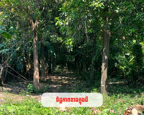 ដីលក់ ​កោះដាច់​​ 9.79m x 85m ម្ចាស់ផ្ទាល់ ប្លង់រឹង(បង្កាន់ដៃ)