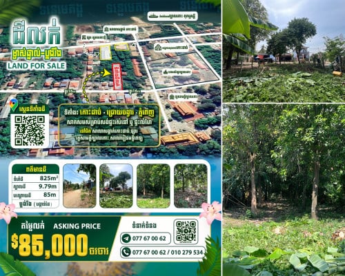 ដីលក់ ​កោះដាច់​​ 9.79m x 85m ម្ចាស់ផ្ទាល់ ប្លង់រឹង(បង្កាន់ដៃ)