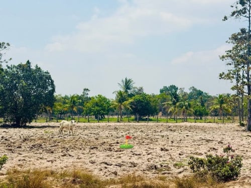 ដីលក់ជាប់ផ្លូវគ្រួសក្រហម