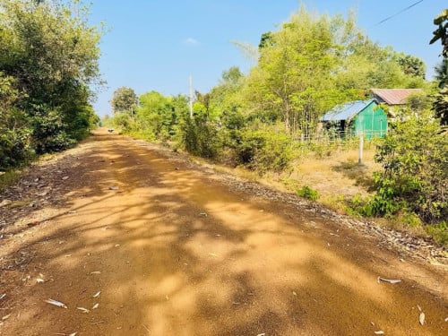 ដីលក់បន្ទាន់ជាប់ផ្លូវមុខក្រោយ