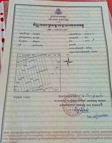 ដីលក់បន្ទាន់ជាប់ផ្លូវមុខក្រោយ