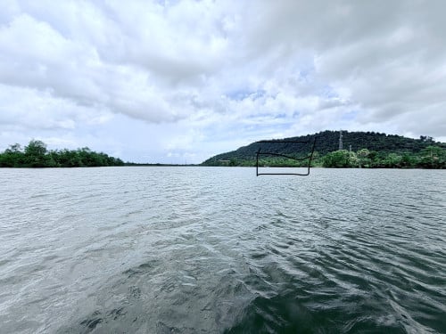 ដីជាប់ដៃសមុទ្យ