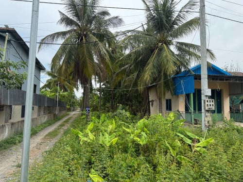 ដី​លក់​ ឬជួល