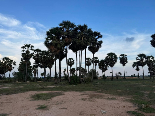 ដីសំរាប់លក់នៅស្រុកសាមគ្គីមានជ័យ ខេត្តកំពង់ឆ្នាំង