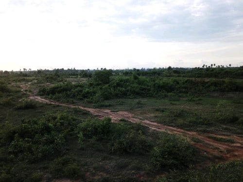ដីជួល12ហិតា 8,000ដុល្លារ/មួយខែ ស្ថិតនៅក្រុងច្បារមន
