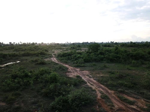 ដីជួល12ហិតា 8,000ដុល្លារ/មួយខែ ស្ថិតនៅក្រុងច្បារមន