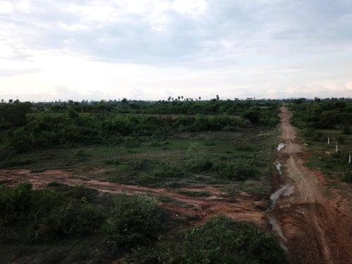 ដីជួល12ហិតា 8,000ដុល្លារ/មួយខែ ស្ថិតនៅក្រុងច្បារមន