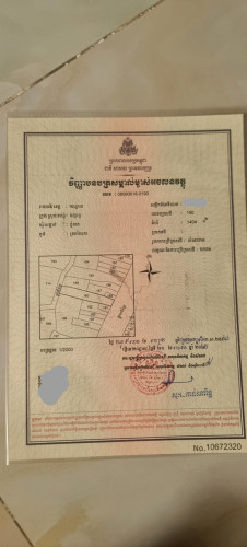 ដីលក់នៅឃុំភ្នំបាត ផ្លូវមុខ40មនិងផ្លូវក្រោយ8ម