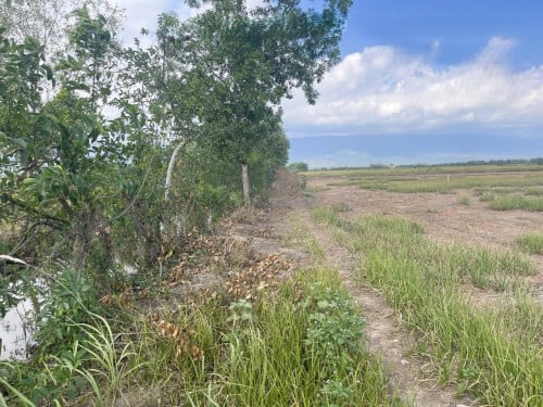 🏦Land Available for Urgent Sale at a Special Price (Negotiable).