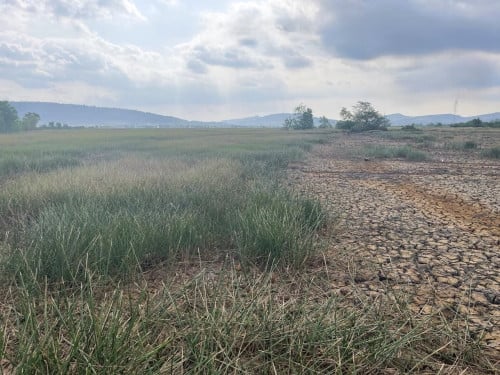 🏦Land Available for Urgent Sale at a Special Price (Negotiable).