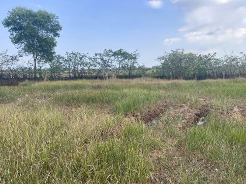🏦Land Available for Urgent Sale at a Special Price (Negotiable).