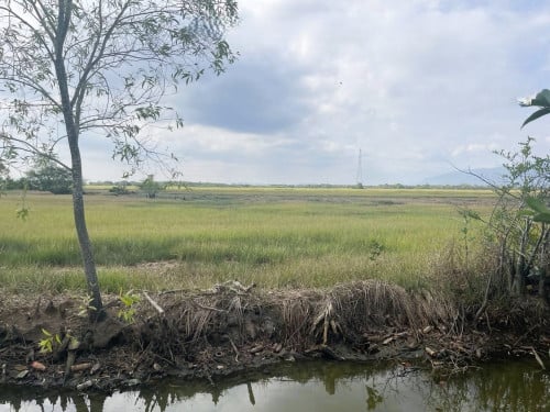 🏦Land Available for Urgent Sale at a Special Price (Negotiable).