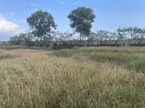 🏦Land Available for Urgent Sale at a Special Price (Negotiable).