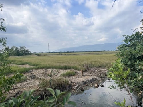 🏦Land Available for Urgent Sale at a Special Price (Negotiable).