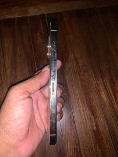 12 pro Max 256g wifi