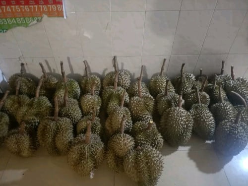 18000រៀលស្អែកធុរេនចូលស្តុកថ្មីជាលើកទី3កម្ម៉ង់លឿនៗបងប្អូនធុរេនធម្មជាតិ ធូរេន ម៉ាន់ថងឯតម្លៃធូរ