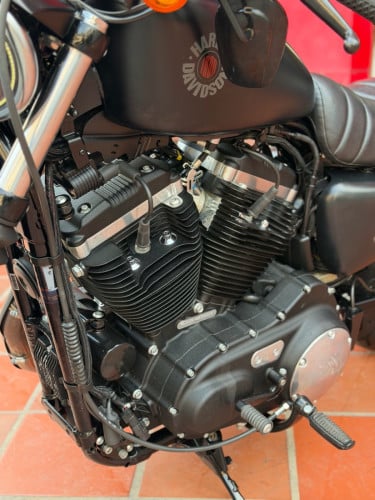 2019 Harley 883
