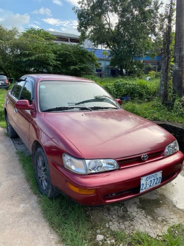 Corolla 96 ( ម្ចាស់ផ្ទាល់ )
