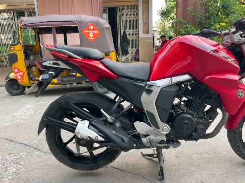 Fz 016 ការគ្រីផែនស្អាត