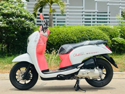 HONDA SCOOPY 015 ម៉ាសុីនតាន់ហាប់នែនជិះស្រួលមិនលាន់មិនហុយមានពន្ធកាតគ្រឺហ្សីន