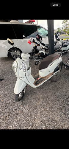 Honda Scoopy 110 year 2014 November Scooter for SALE