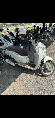 Honda Scoopy 110 year 2014 November Scooter for SALE