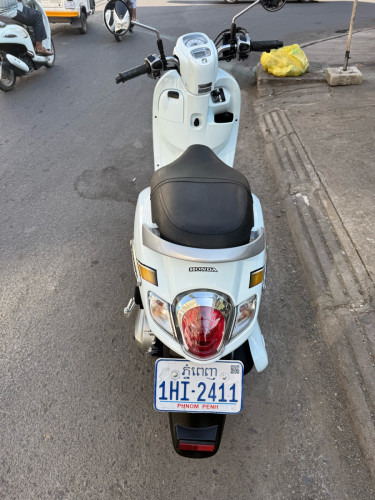 Honda scooyi