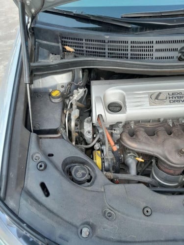 HS 250H 2010 P2