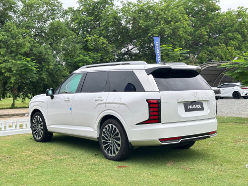 Hyundai Palisade Calligraphy Option