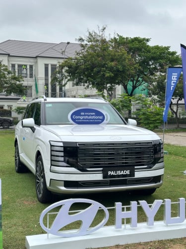 Hyundai Palisade Calligraphy Option
