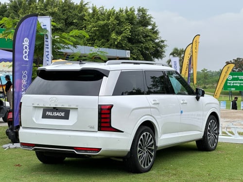 Hyundai Palisade Calligraphy Option