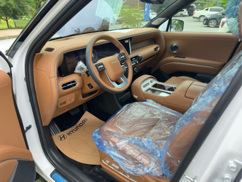 Hyundai Palisade Calligraphy Option