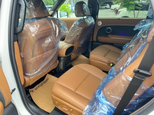 Hyundai Palisade Calligraphy Option