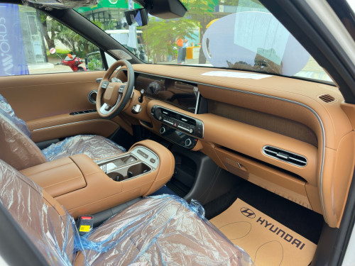 Hyundai Palisade Calligraphy Option