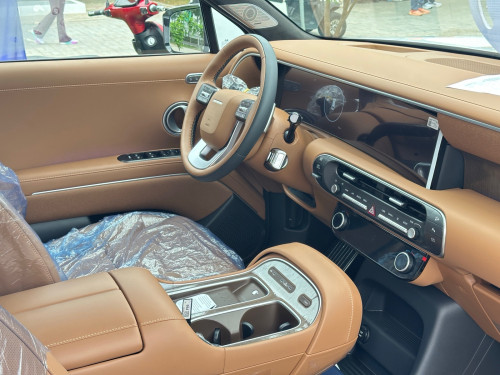 Hyundai Palisade Calligraphy Option
