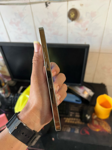 iPhone 12 Pro Max 256GB សាណុំ