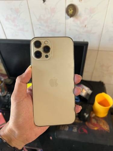 iPhone 12 Pro Max 256GB សាណុំ