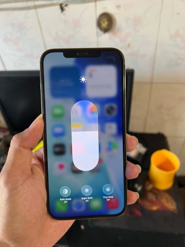iPhone 12 Pro Max 256GB សាណុំ