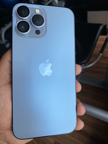 iPhone 13 Pro Max 256GB
