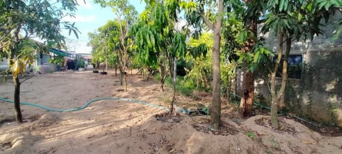 Land for rent 土地出租 / Rental fee 租金: 2,000$/month (Can Negotiation)