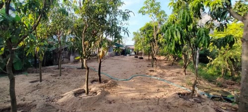 Land for rent 土地出租 / Rental fee 租金: 2,000$/month (Can Negotiation)