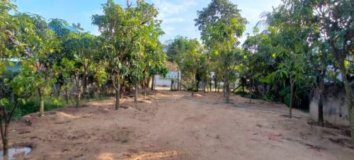 Land for rent 土地出租 / Rental fee 租金: 2,000$/month (Can Negotiation)