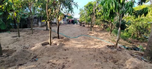 Land for rent 土地出租 / Rental fee 租金: 2,000$/month (Can Negotiation)
