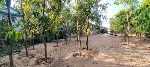 Land for rent 土地出租 / Rental fee 租金: 2,000$/month (Can Negotiation)