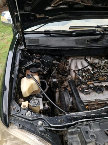 Lexus.ឆ្នាំ99