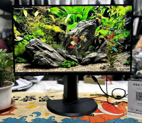 Monitor 24inch