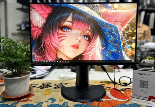 Monitor 24inch