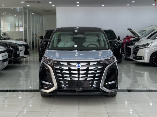 New Denza D9 DM-I 2025
